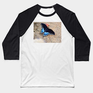 Blue Regal Beauty Baseball T-Shirt